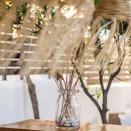 Riviere Paros * Naousa (Paros)