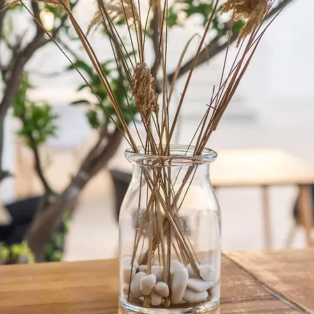 ホテル Riviere Paros ナウサ