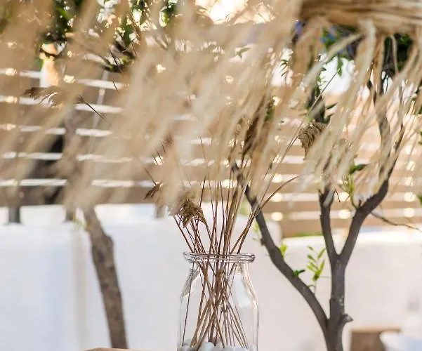 Rivière Paros * Naoussa