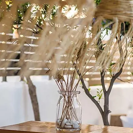 Riviere Paros 酒店 纳乌萨