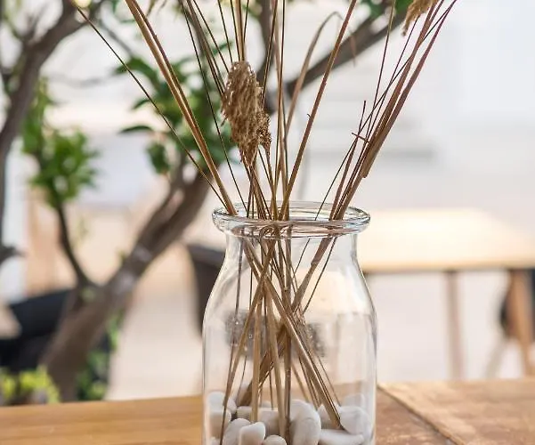 Ξενοδοχείο Riviere Paros Νάουσα